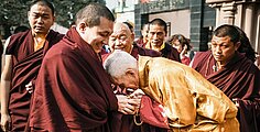 Meeting the Buddha