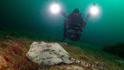Standbild aus dem Film Die wilde Nordsee