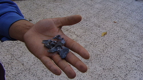 Standbild aus dem Film Mit Hasan in Gaza