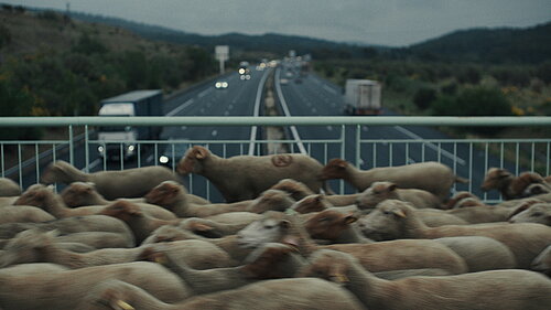 Standbild aus dem Film Hirten