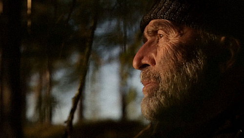 Standbild aus dem Film Das Flüstern der Wälder