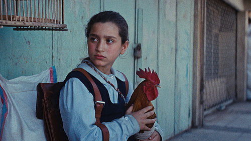 Standbild aus dem Film Ein Kuchen für den Präsidenten