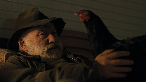 Standbild aus dem Film Lebensansichten eines Huhns
