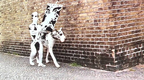 Standbild aus dem Film Freak Orlando