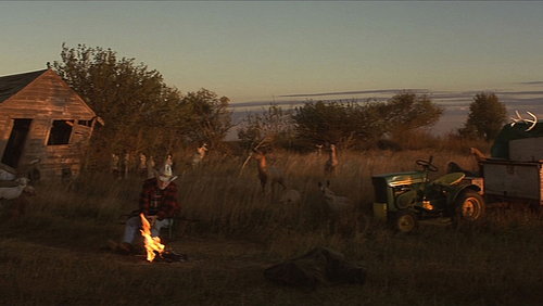 Standbild aus dem Film The Straight Story - Eine wahre Geschichte